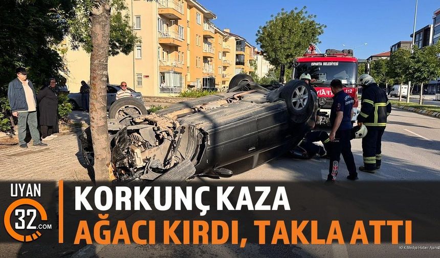 Isparta'da Takla Atan Otomobil Ağacı Kırarak Durdu: Sürücü Kurtarıldı