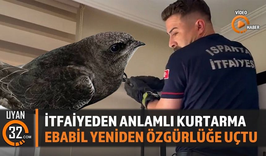 İtfaiyeden Anlamlı Kurtarma: Ebabil Yeniden Özgürlüğe Uçtu