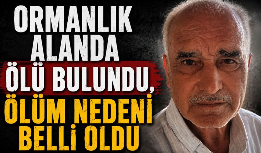 Ormanlık alanda ölü bulundu ölüm nedeni belli oldu