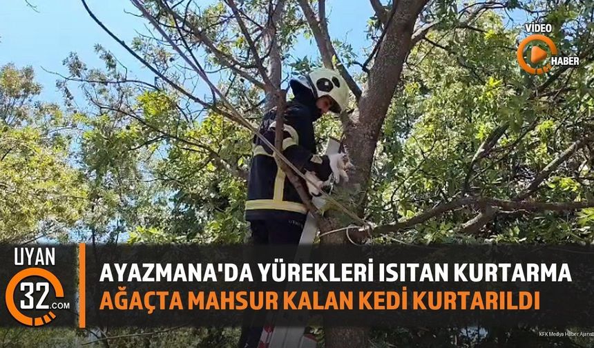 Ağaçta Mahsur Kalan Kediyi İtfaiye Kurtardı