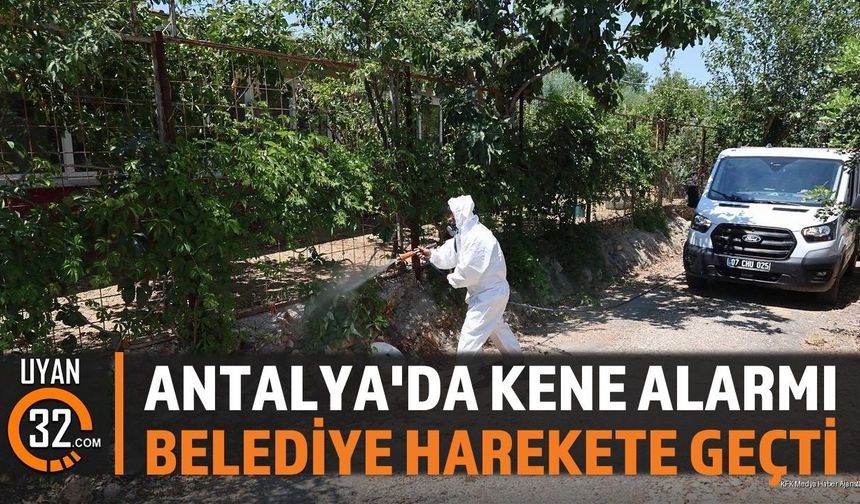 Aksu Belediyesi, Kene Şikayetlerine Kayıtsız Kalmadı