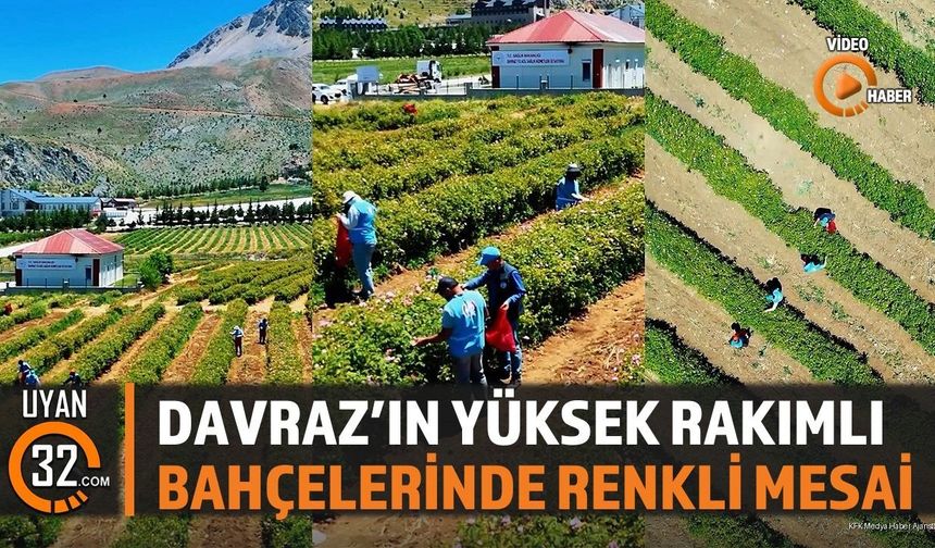 Davraz'ın Yüksek Rakımlı Bahçelerinde Renkli Mesai
