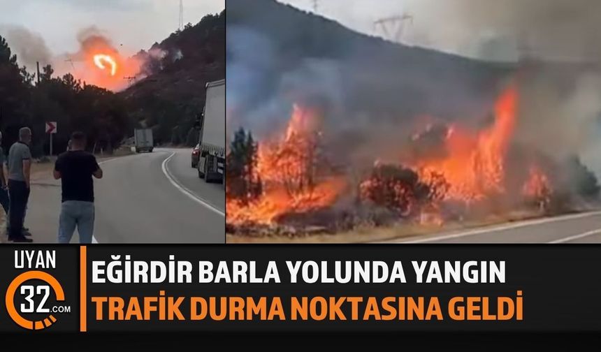 Eğirdir-Barla Yolunda Yangın Paniği!