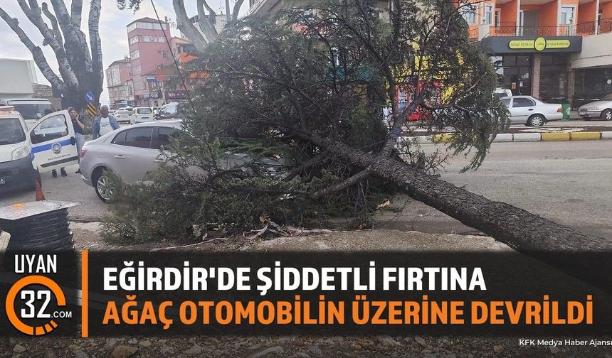 Eğirdir'de Fırtına Ağacı Yerinden Söktü: Otomobilde Hasar Var