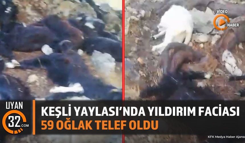 Eğirdir'de Yıldırım Düşmesi: 59 Oğlak Telef Oldu, Üreticiler Destek Bekliyor
