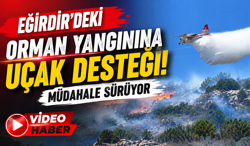 Eğirdir'deki Orman Yangınına Uçak Desteği! Müdahale Sürüyor