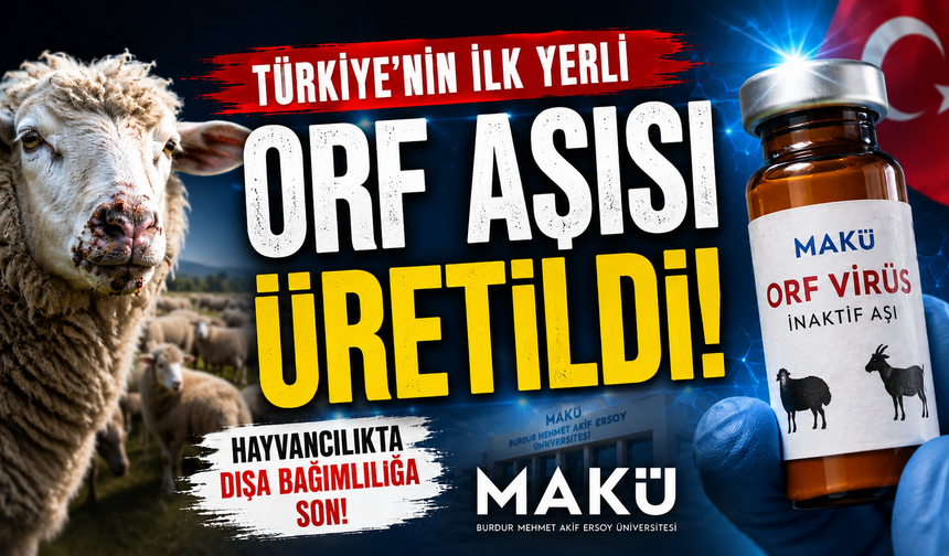 Hayvancılıkta Dışa Bağımlılığa Son! Türkiye’nin İlk Yerli Orf Aşısı Üretildi