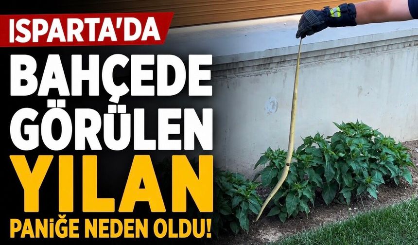 Isparta'da Evin Bahçesinde Görülen Yılan Paniğe Neden Oldu