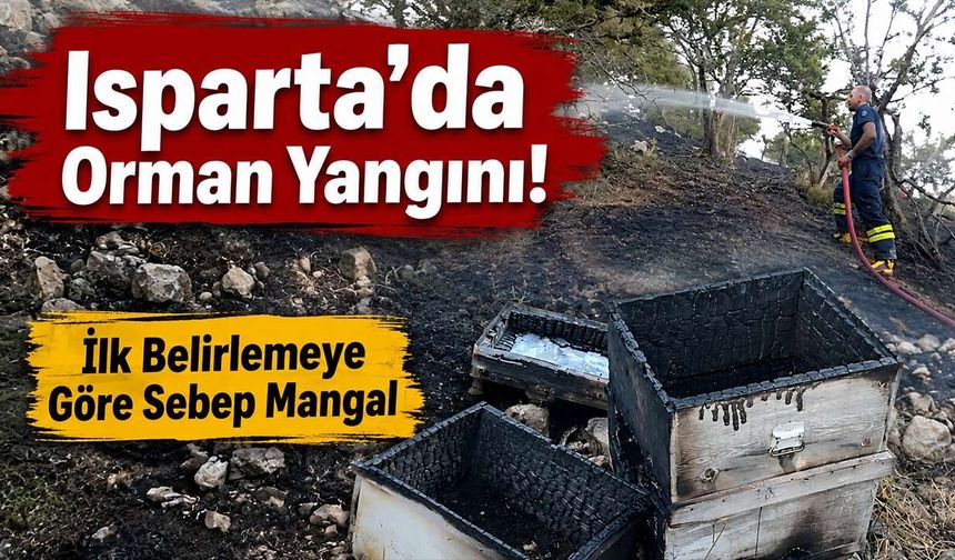 Mangal Kıvılcımı Ormanı Yaktı! Isparta'da Arı Kovanları Kül Oldu