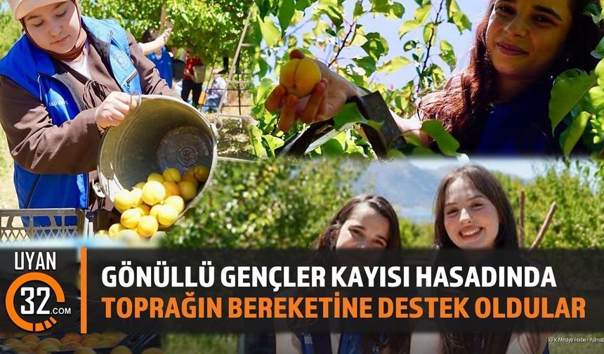 Isparta'da Gönüllü Gençler Kayısı Hasadında Üreticiye Destek Oldu