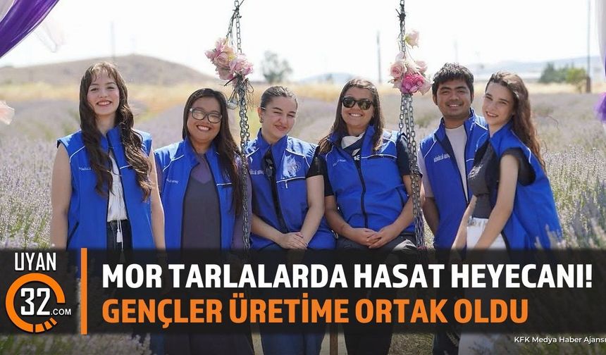 Isparta'da Gönüllü Gençler Mor Tarlalarda Lavanta Hasadı Yaptı