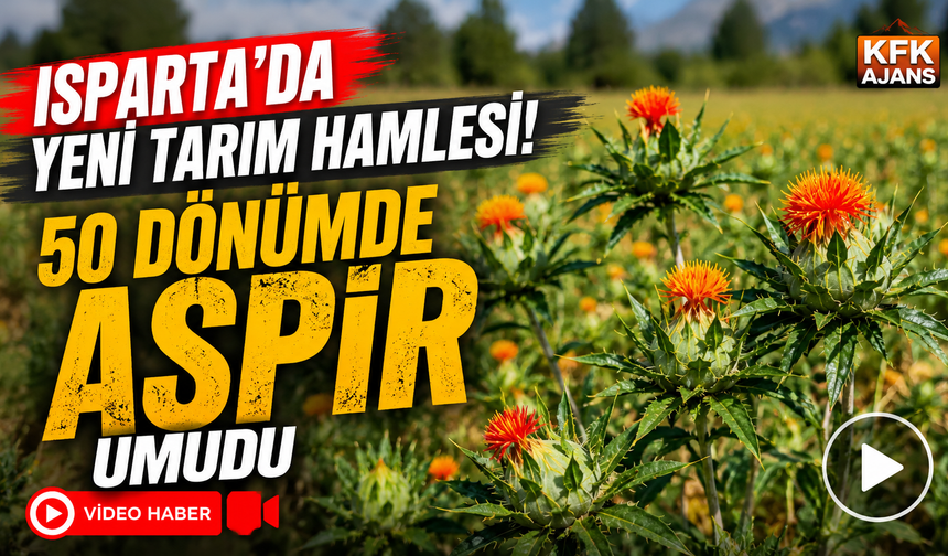 Isparta'da Yeni Tarım Hamlesi! 50 Dönümde Aspir Umudu
