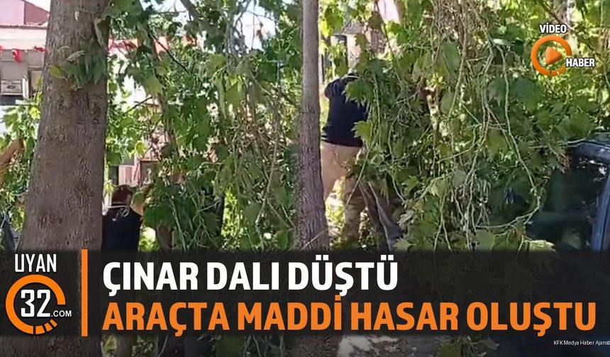 Şarkikaraağaç'ta Çınar Ağacının Dalı Koptu