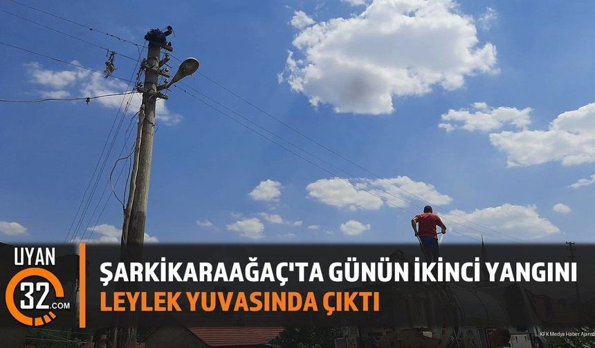 Şarkikaraağaç'ta Günün İkinci Yangını Leylek Yuvasında Çıktı