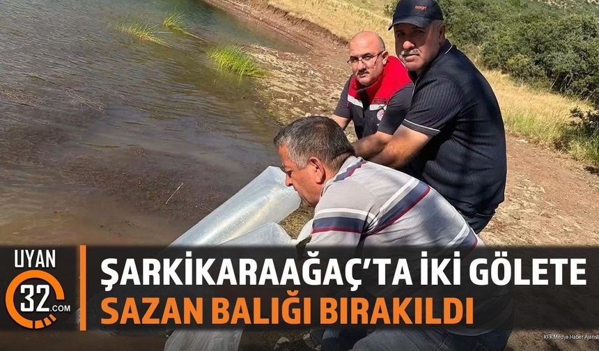 Şarkikaraağaç'ta Sazan Balığı Bırakıldı