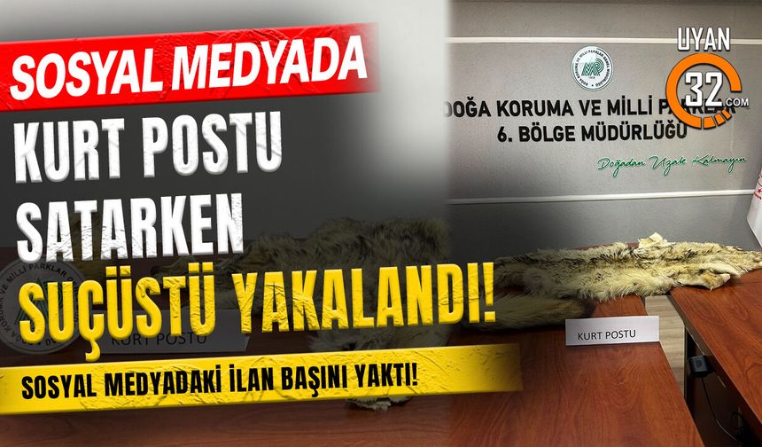 Sosyal Medyada Kurt Postu Satarken Suçüstü Yakalandı!
