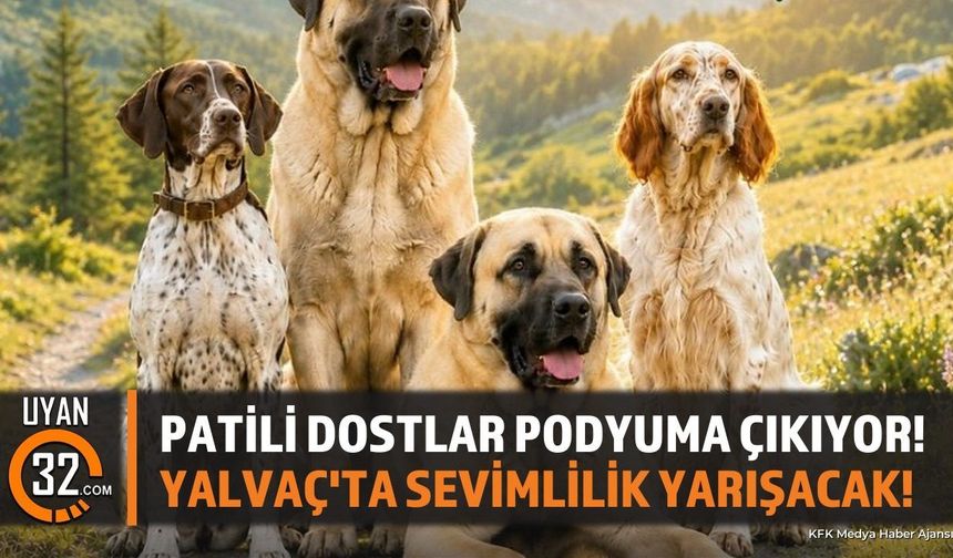 Yalvaç Köpek Güzellik Yarışması İçin Başvurular Başladı