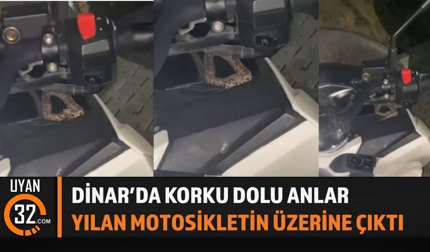 Dinar'da Korkutan Anlar! Yılan Motosikletin Üzerine Çıktı
