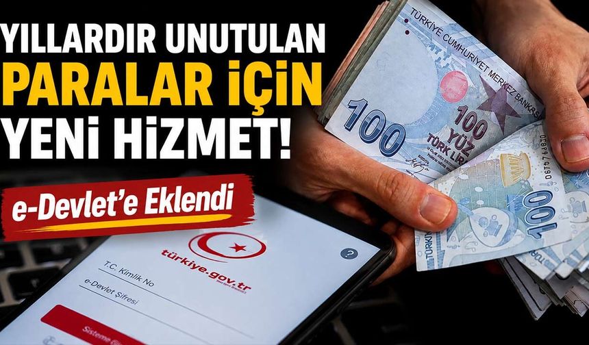Adınıza Unutulan Para Olabilir! e-Devlet'te Tek Tıkla Kontrol Edilebilecek