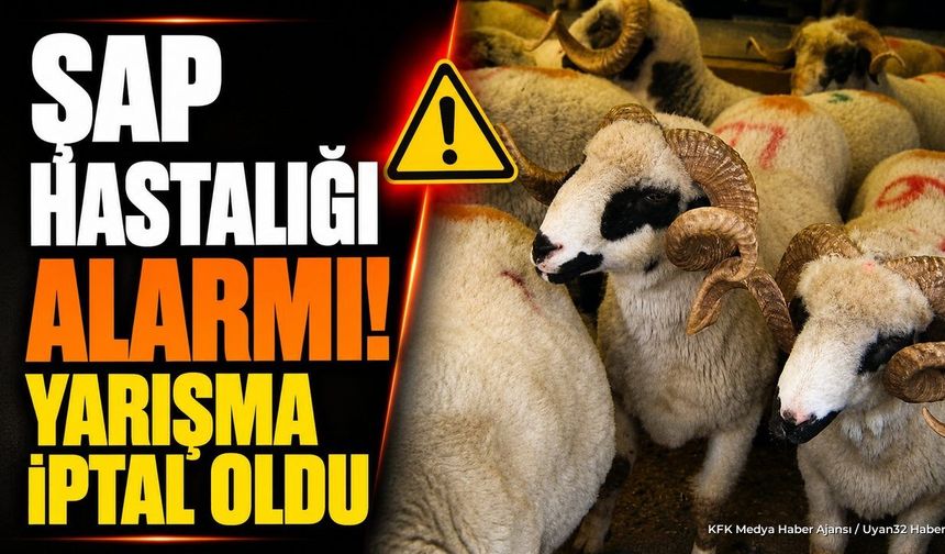 Burdur'da Şap Hastalığı Alarmı: Koç Yarışması İptal Edildi