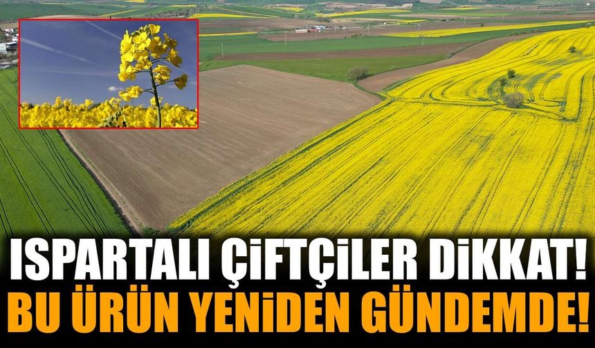 Isparta’da Çiftçilere Yeni Ürün Fırsatı! Kanola İçin Dikkat Çeken Çağrı