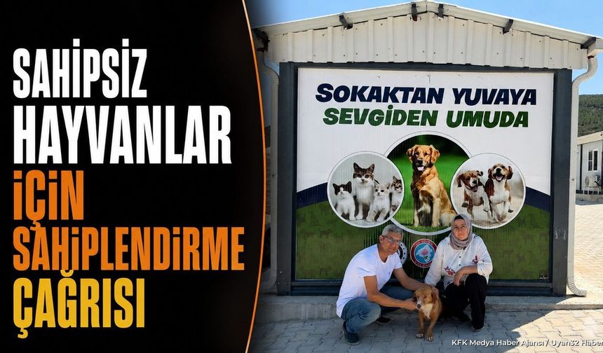 Isparta'da Sahipsiz Hayvanlar İçin Sahiplendirme Çağrısı Yapıldı