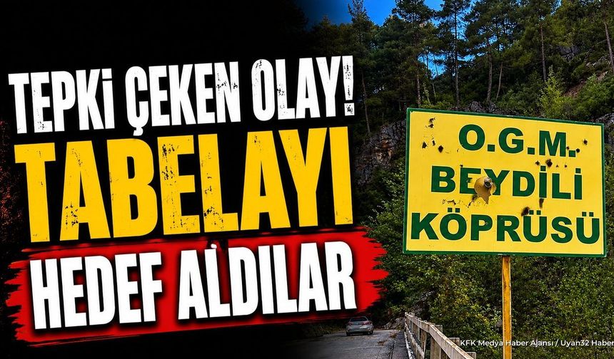Sütçüler'de çirkin saldırı: Köprü tabelasını Kurşunladılar!