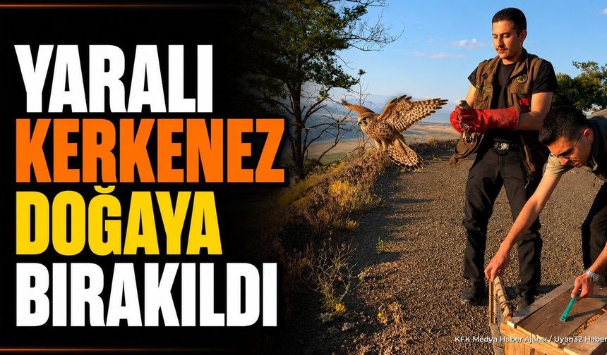 Yaralı Bulunan Kerkenez Tedavisinin Ardından Doğaya Bırakıldı