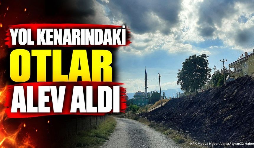 ÇARIKSARAYLAR'DA YOL KENARI ALEV ALDI!