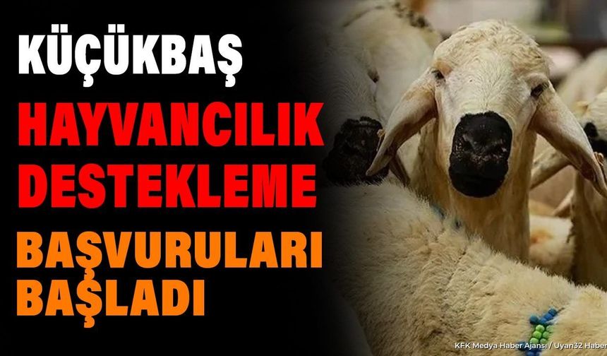 YETİŞTİRİCİLERE MÜJDE: BAŞVURULAR BAŞLADI!