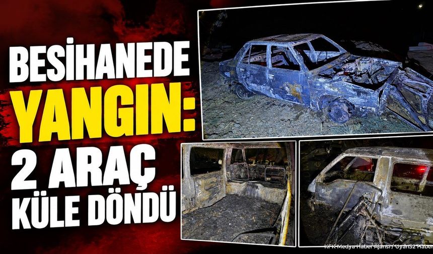 DİREKLİ KÖYÜ'NDE KORKUTAN YANGIN