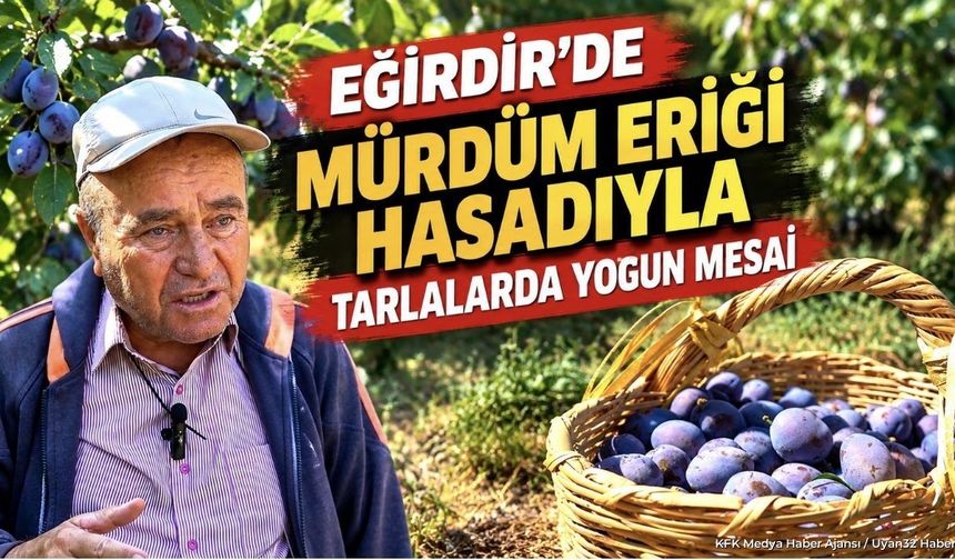 ISPARTA'DA HASAT SEZONUNDA DERT BİTMEDİ