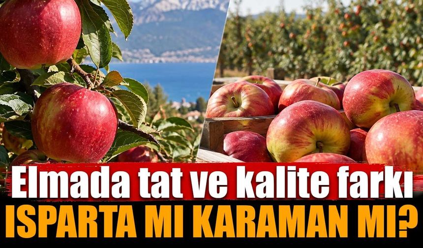 Isparta elması mı Karaman elması mı? Tat, aroma ve kalite farkı dikkat çekiyor