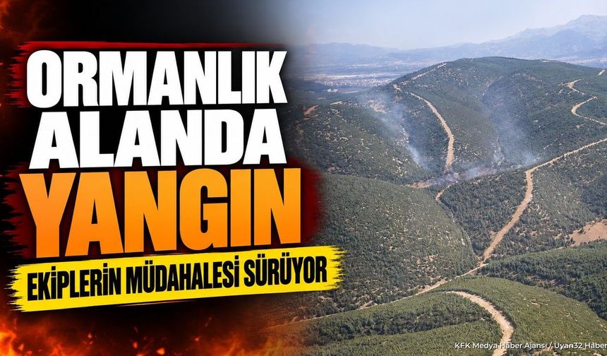KOÇTEPE'DE KORKUTAN ORMAN YANGINI!