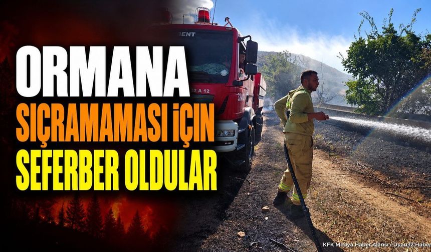 SENİRKENT'TE ALEVLER ORMANA ULAŞMADI