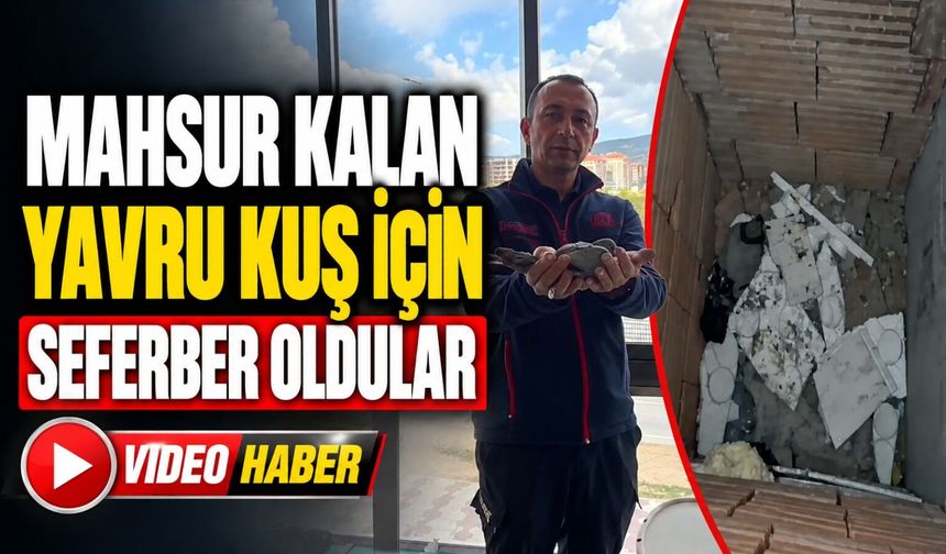 MAHSUR KUŞ İÇİN SEFERBERLİK