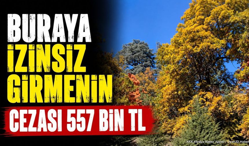 Isparta'daki dünyada tek ormana izinsiz basanın cezası 557 bin TL: İşte giriş şartları