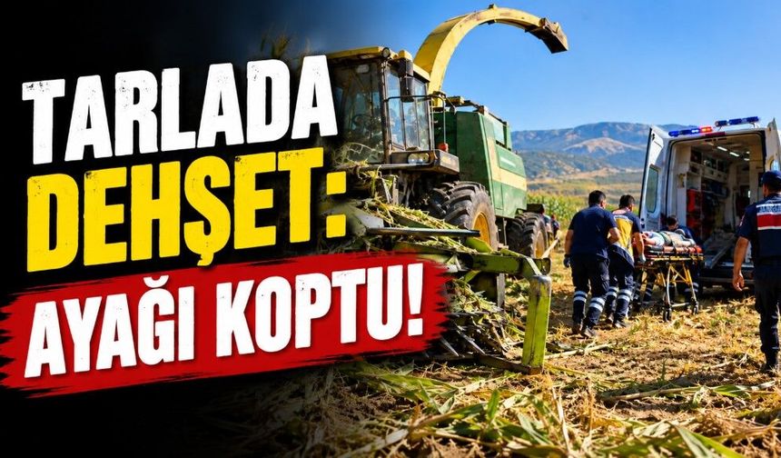 TARLADA DEHŞET: AYAĞI KOPTU!