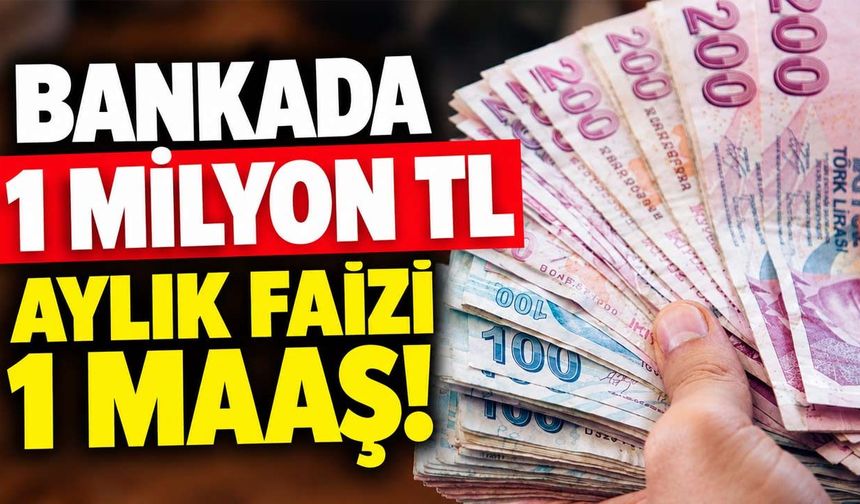 1 milyon TL bankada duruyor, aylık faiz geliri 1 maaşı buluyor