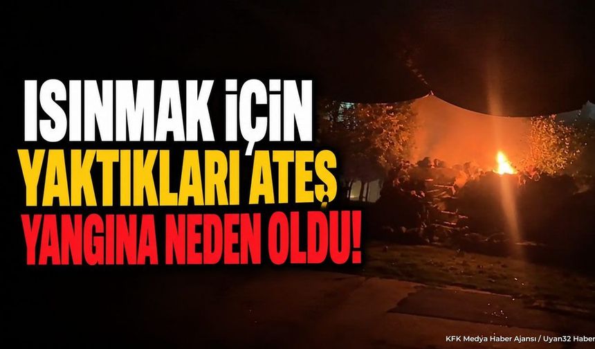 BÖCÜZADE'DE YANGIN