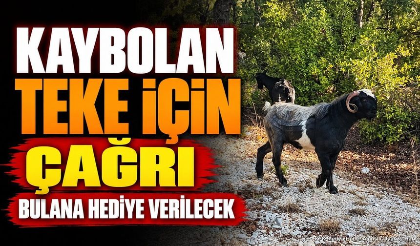 KAYIP TEKEYİ BULANA HEDİYE!
