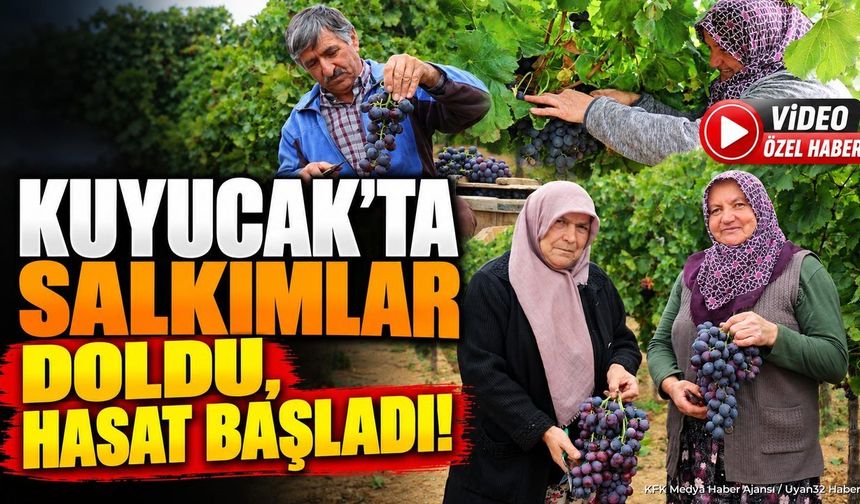 ISPARTA ÜZÜMÜNE DÜNYADAN YOĞUN TALEP
