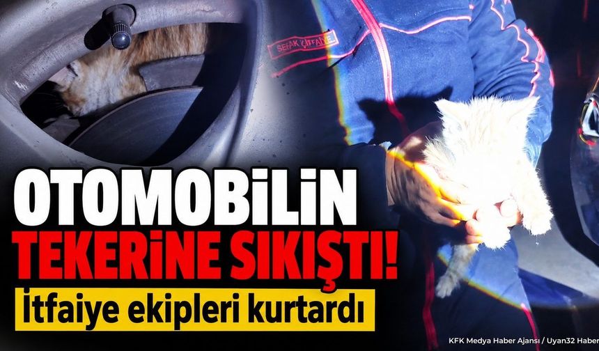 KEDİ KURTARILDI