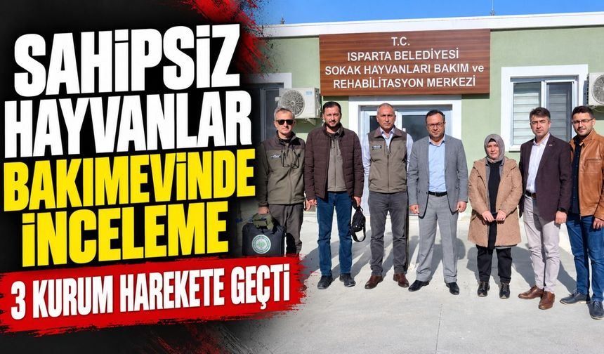 BAKIMEVİNE DENETİM