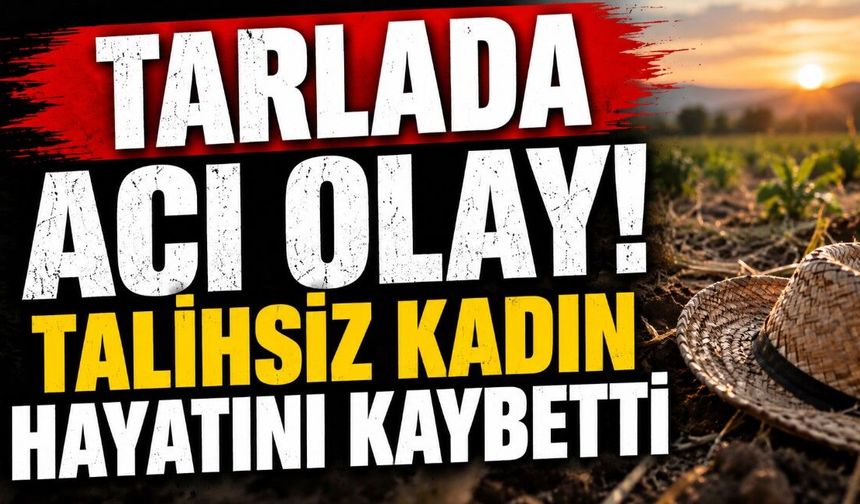 Tarlada Acı Olay! Talihsiz Kadın Hayatını Kaybetti