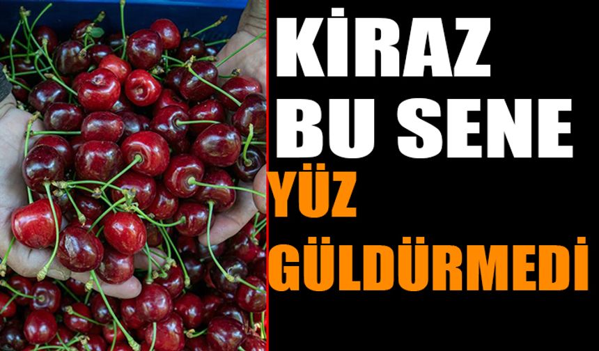 Uluborlu'da Kiraz Üretimi Düştü: Bu Sene Yüz Güldürmedi