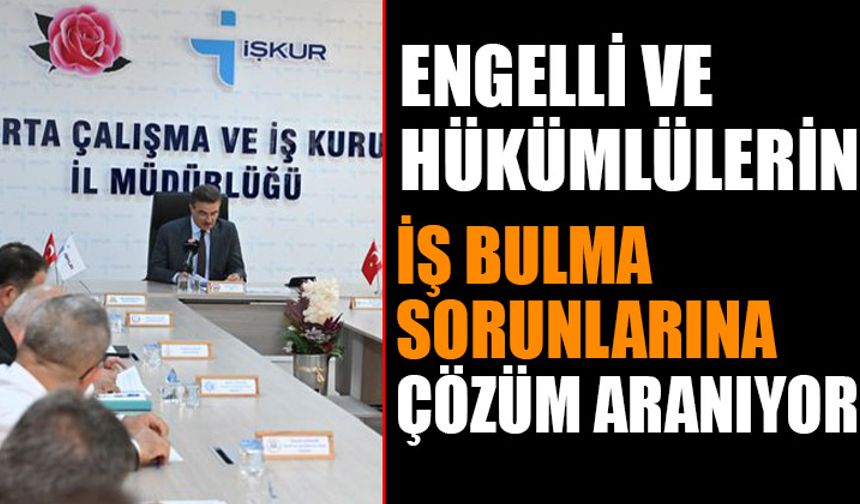 Engelli ve Hükümlülerin İş Bulma Sorunlarına Çözüm Aranıyor