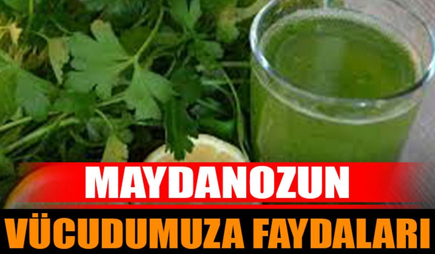 Maydanoz: Sağlık İçin Faydaları ve Kullanım Alanları