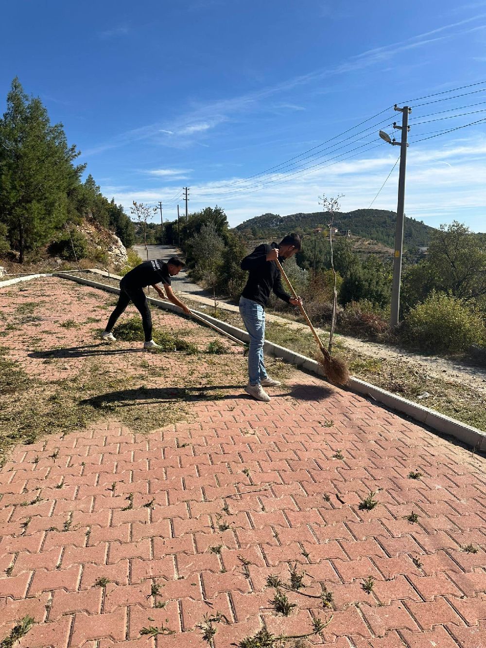 Kocaaliler De Calismalar Araliksiz Suruyor Yesil Alanlar Duzenleniyor 1