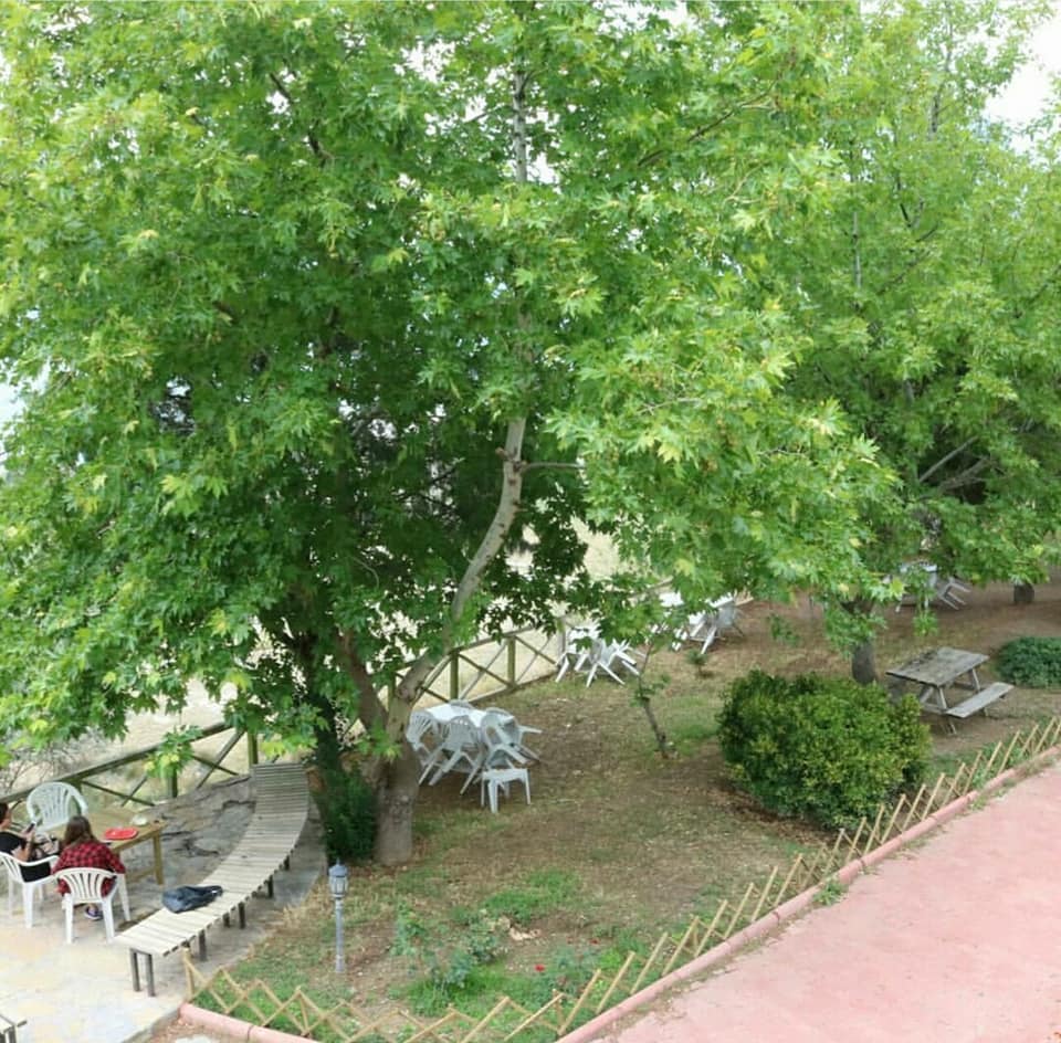 Kuş Gözlem Evi 4